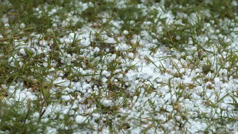 hail grains falling in to the grass close up