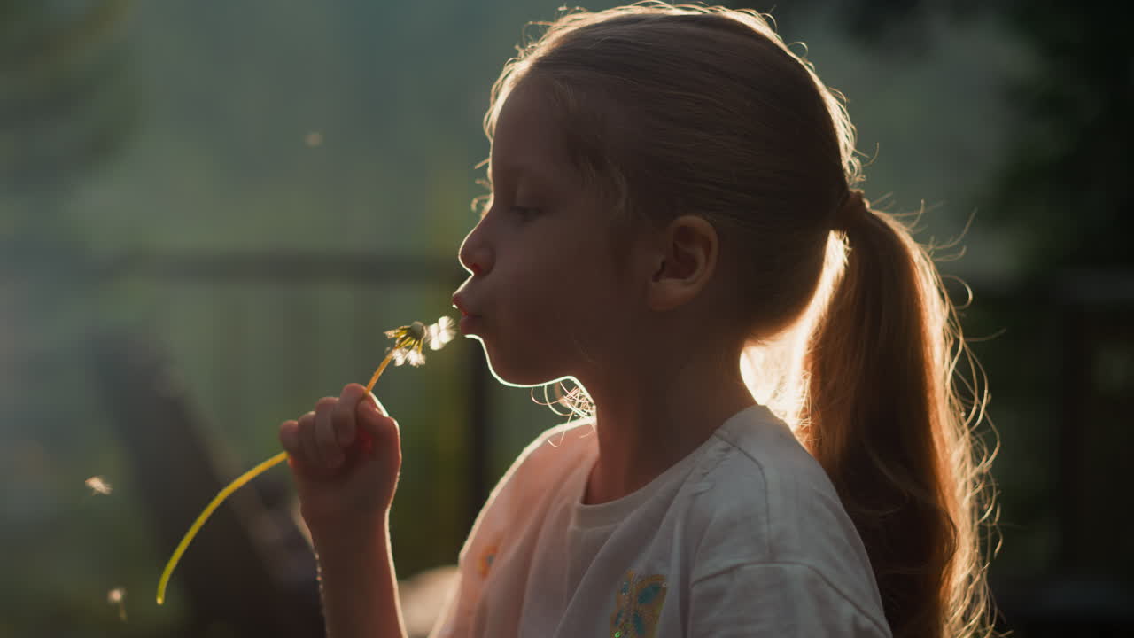 Little kid blows dandelion against sunlight. Calm girl rests in nature standing against setting sun side view on blurred background closeup. Carefree childhood slow motion
