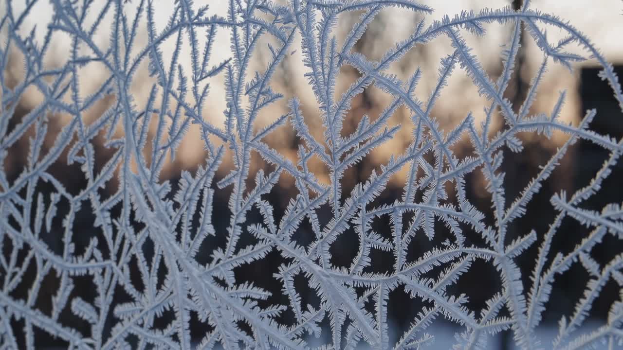 Close-up video of intricate frost patterns on a window, shot at eye level