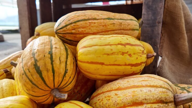 Primer plano de calabaza Delicata amarilla recién cosechada en un mercado