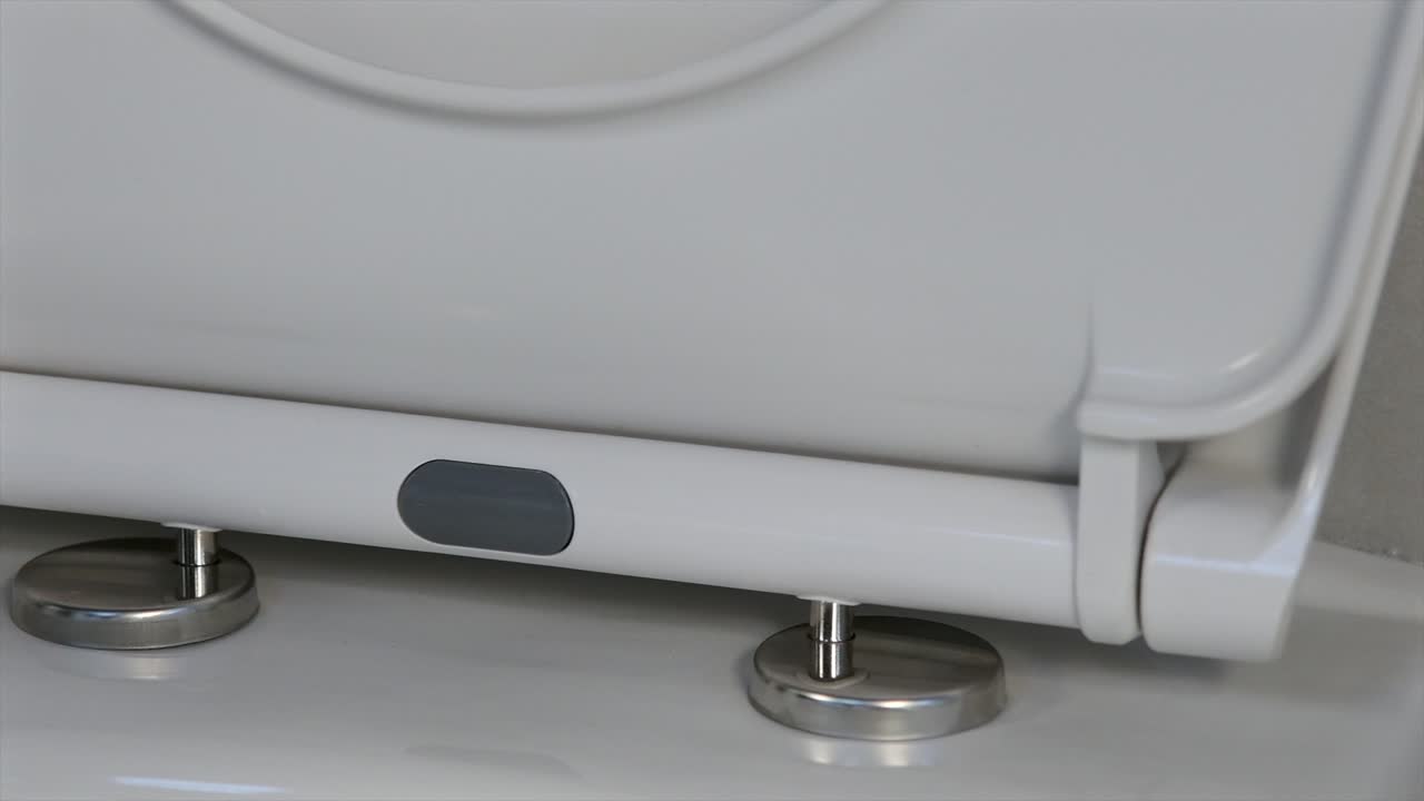 The master puts the toilet seat on