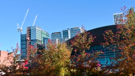 london aquatics pool, stratford, united kingdom