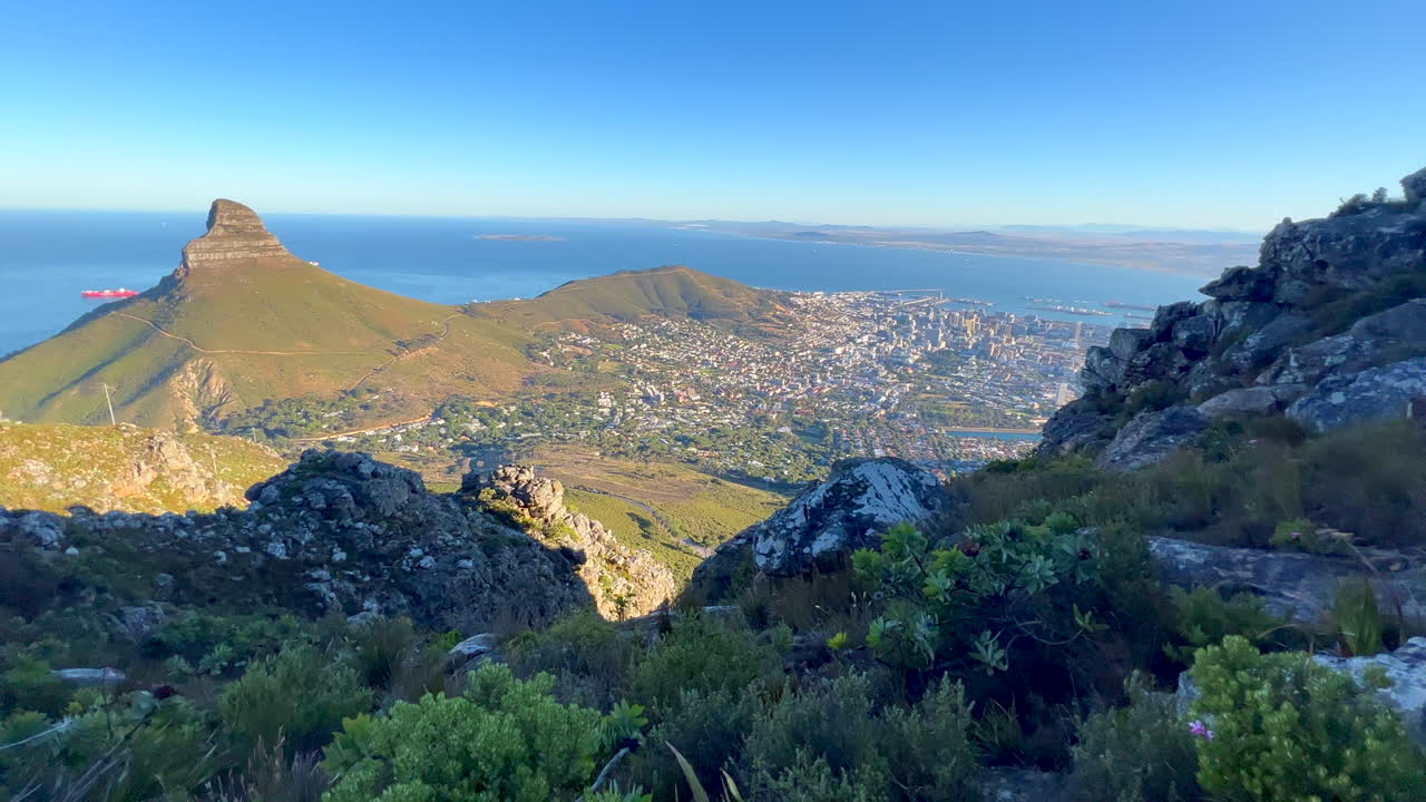 Sunrise Lion's Head morning hike exploring Table Mountain Cape Town South Africa pan left view of mountain and downtown city golden yellow sun rays lush spring summer grass and flowers deep blue sea