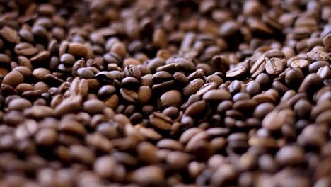 roasted coffee beans on display no people stock footage