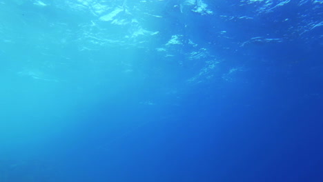 vista de la superficie ondulada del agua desde la profundidad