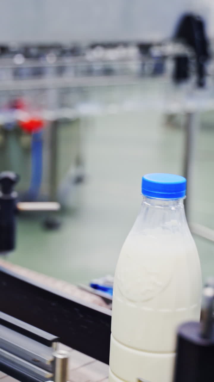 Production line of milk. Automated production line in modern dairy factory Vertical video
