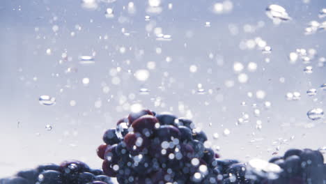 slowmotion of assorted berrys falling on to water-2