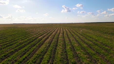 vista aérea de kilómetros de tierras de cultivo en la distancia