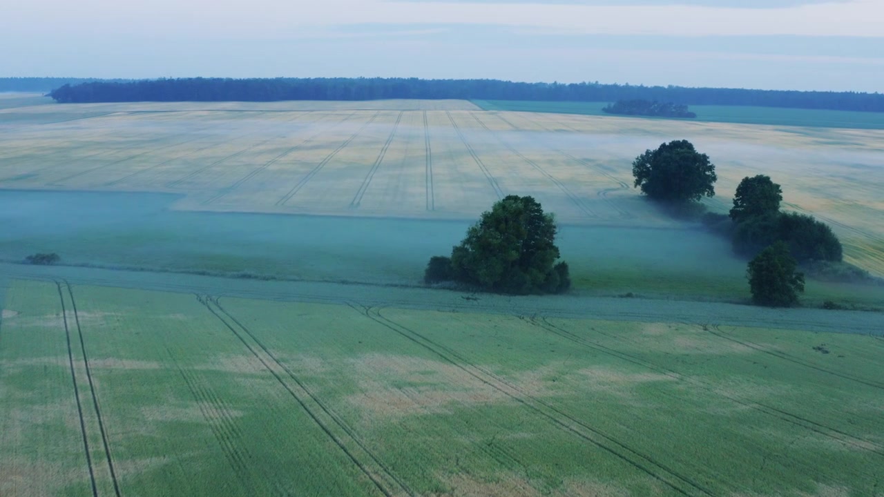 Aerial view of vast agricultural fields with crop patterns and scattered trees, bathed in a soft, early morning mist that creates a serene, tranquil landscape.
Early morning, Earth colors, fog,