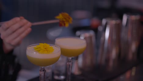 bartender preparing decorated cocktails
