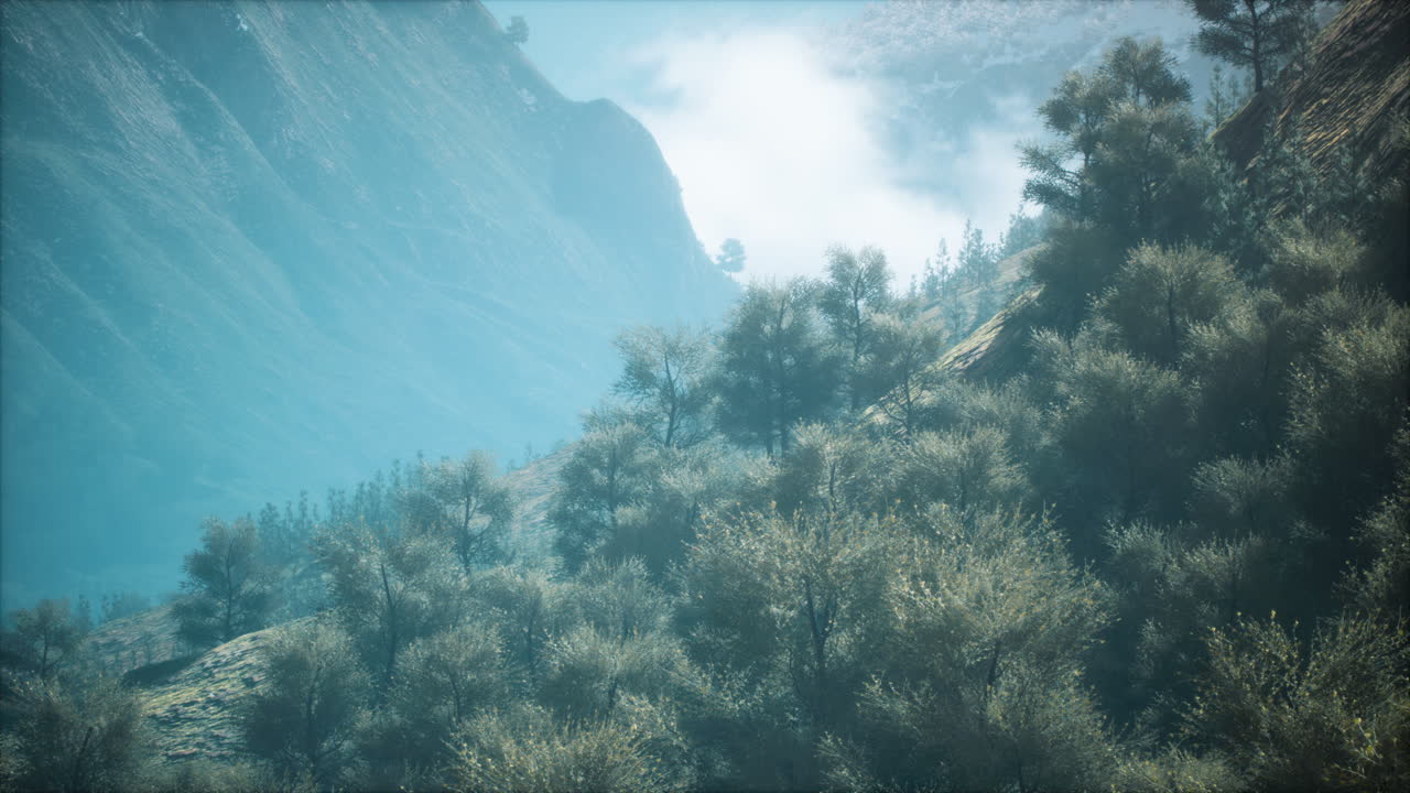 Paisaje de bosque de montaña brumoso