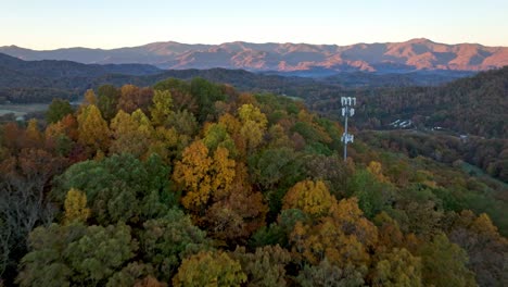 Caída-Aérea-Sobre-La-Copa-De-Un-árbol-Cerca-De-Cherokee-Nc,-Carolina-Del-Norte-En-Otoño