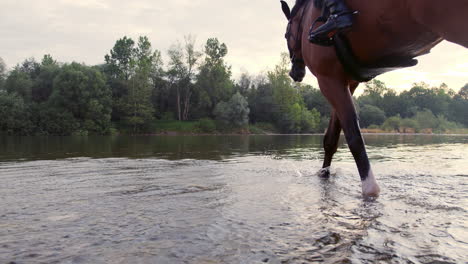 three female riders crossing the river by riding horses, rear view