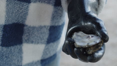 Man-getting-oyster-out-of-oyster-shell-at-a-oyster-roast,-tight-shot