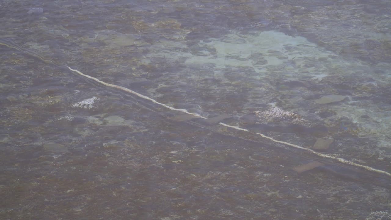 Desalination Pipelines Seen On The Clear Water, Transporting Potable Water For People And Agriculture Irrigation In Fiji Islands