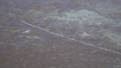 tuberías de desalinización vistas en el agua clara, transporte de agua potable para personas y riego agrícola en las islas fiji