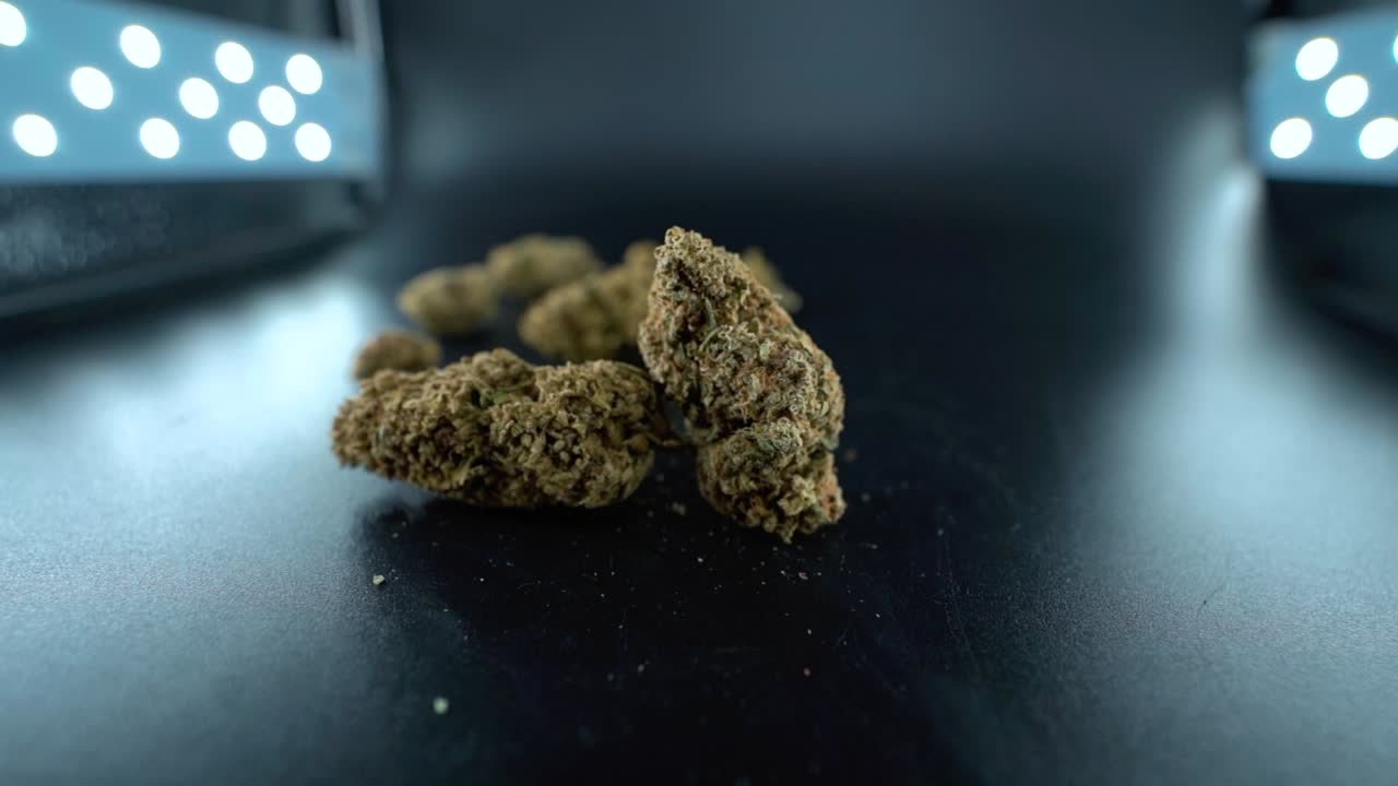 カナビス植物の詳細なクレーン動きのショットマリファナ花のハイブリッド株インディカとサティバ120fpsスローモーションフルhd映画スタジオの照明ledライト