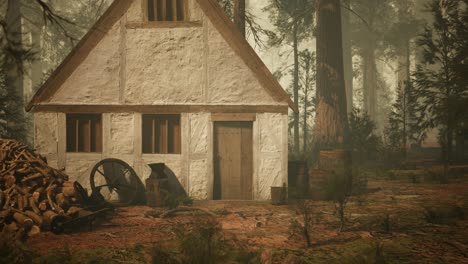 old wooden house in the autumn forest