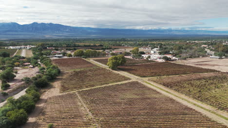 La-Vista-Aérea-Revela-Impresionantes-Viñedos-De-Torrontés-Y-Malbec-En-La-Famosa-Región-Famosa-Por-Sus-Vinos-De-Gran-Altitud.