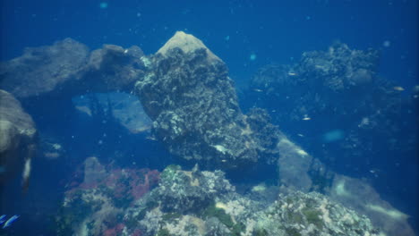 Underwater exploration reveals vibrant coral reefs and marine life