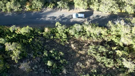 a car driving along a road through the mountain forest - straight down aerial view