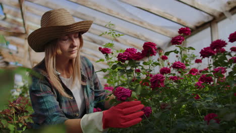 florista niña en un invernadero de flores sentada examina rosas toca las manos sonriendo. pequeño negocio de flores. mujer jardinera trabajando en un invernaderos con flores