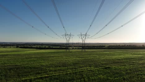 Flying-between-powerlines-near-sunset