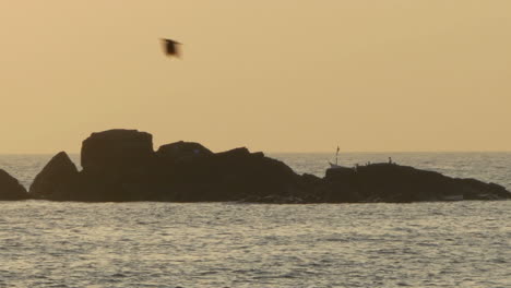 Tourist-Trip-Boats-with-Fishing-Boy-Emerging-in-Silhouette-at-Sunset-Zoom-Out,-Canacona,-Goa,-India