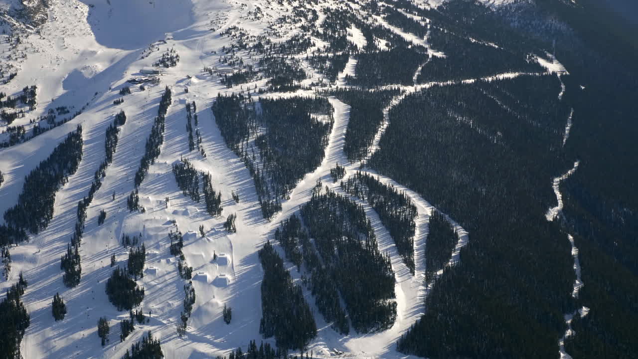 antena de arriba hacia abajo de las nevadas montañas canadienses whistler y muchos árboles de coníferas durante el invierno