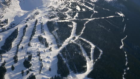 aerial top down of snowy canadian whistler mountains and many conifer trees during wintertime