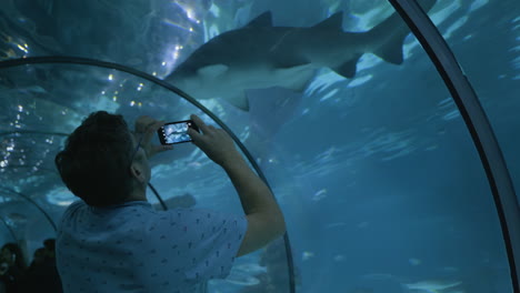 man taking a picture of a shark in an aquarium tunnel