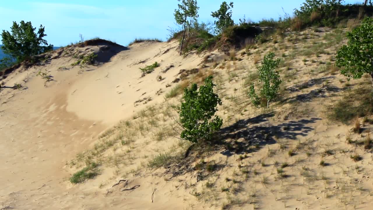 A serene view showcasing the expansive sand dunes of Indiana Dunes National Park. Bright sunlight casts long shadows, highlighting the rugged texture and sparse greenery