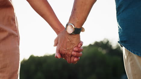 Holding-hands,-park-and-senior-couple-with-love