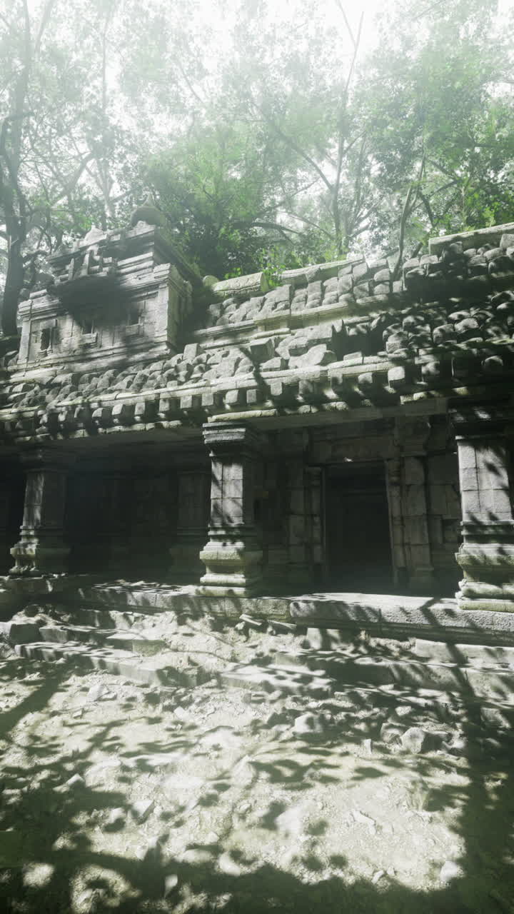 Ruinas de un antiguo templo envueltas en una exuberante vegetación bajo una luz tenue