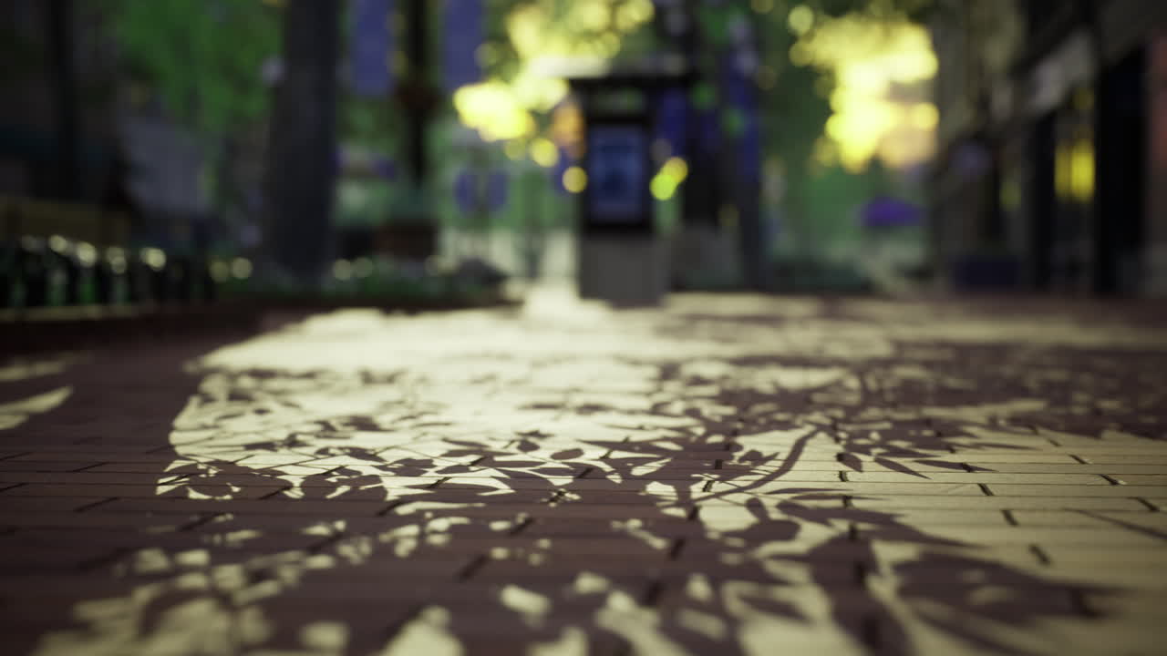 Sunlight filtering through trees creates beautiful shadows on pavement