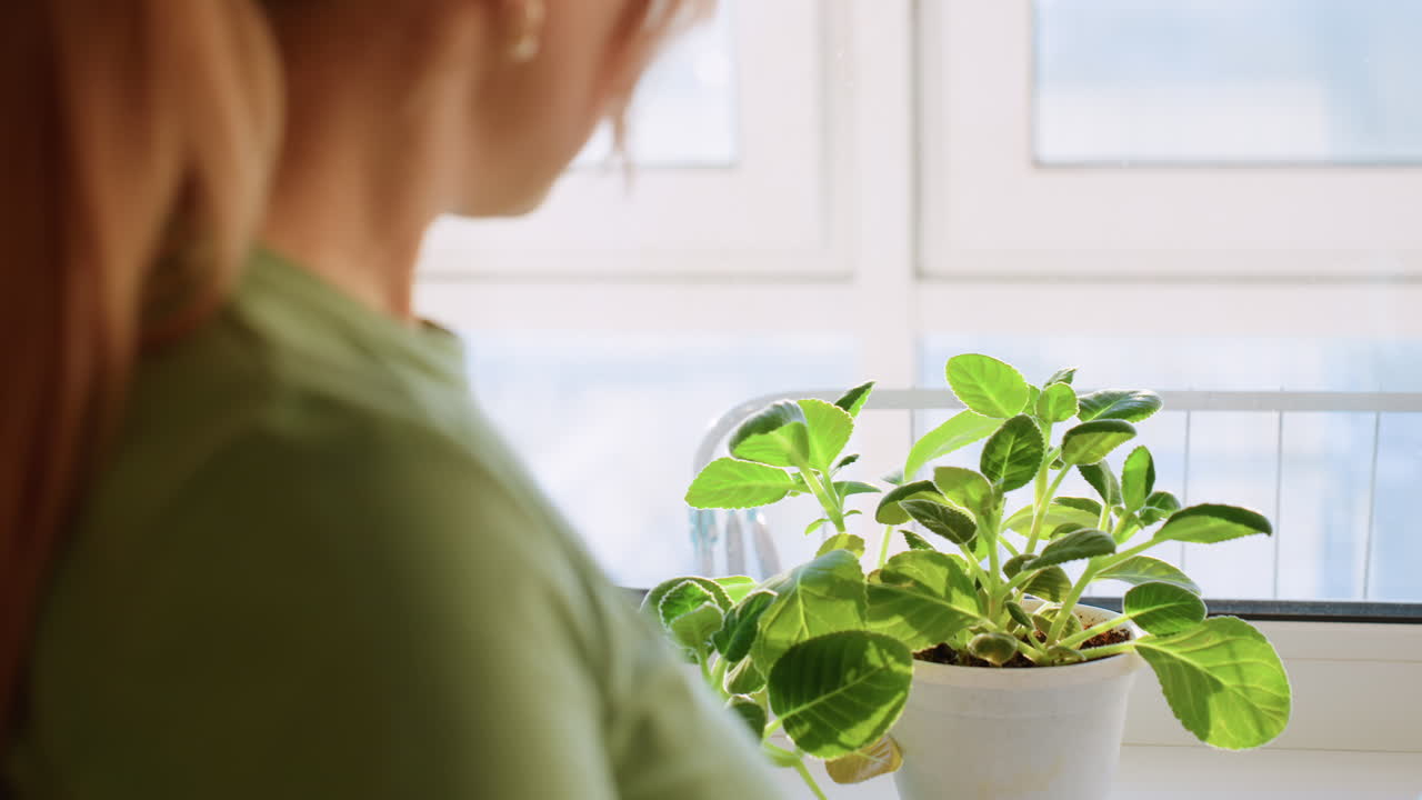 Close up rear view of woman with ponytail in green shirt standing near window, gazing outside with thoughtful mood, potted green plant and blue spray bottle on windowsill
