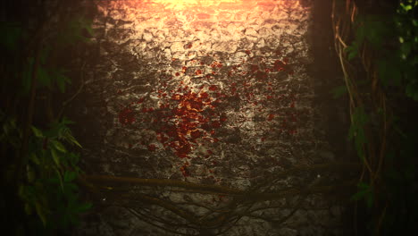 fondo de terror místico con sangre oscura y fondo abstracto de cámara de movimiento