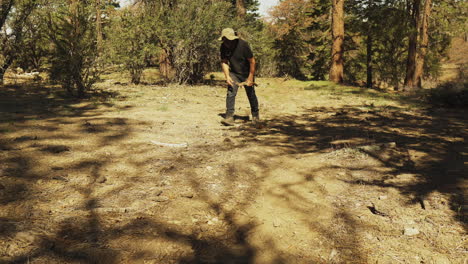 man walking in the forest gather branches from the ground and walking out of frame