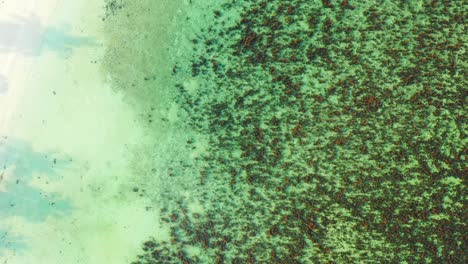 beautiful sea texture with brown coral reefs patterns on turquoise lagoon and anchored boats on white sandy beach, myanmar