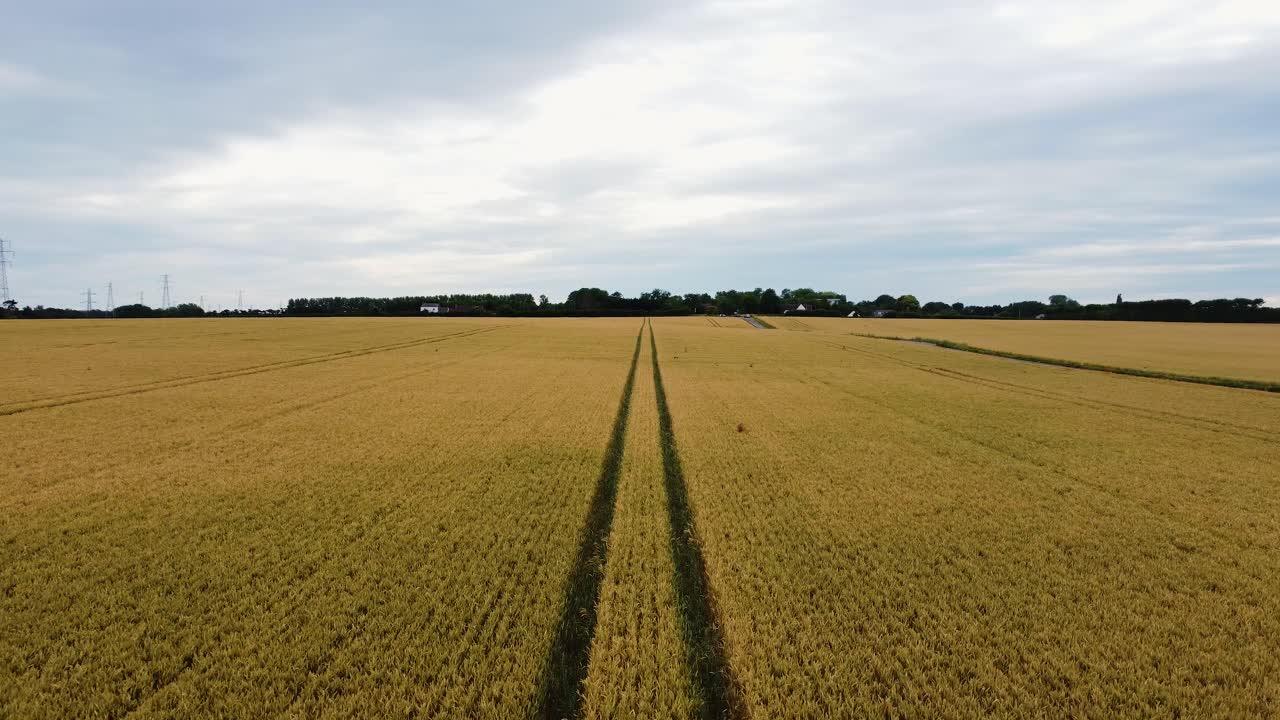 Eine langsame Aufnahme, die über Fahrspuren in einem Weizenfeld fliegt.