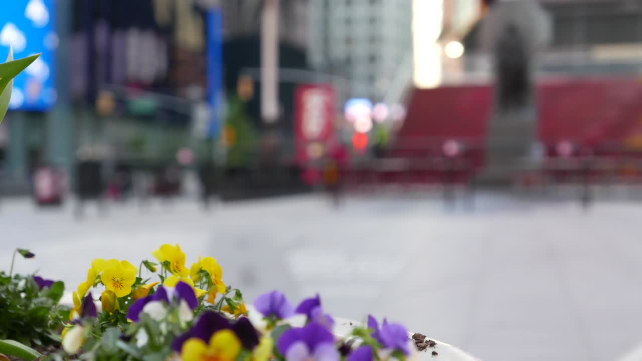 코로나 바이러스 팬데 기간 동안 빈 번 제곱