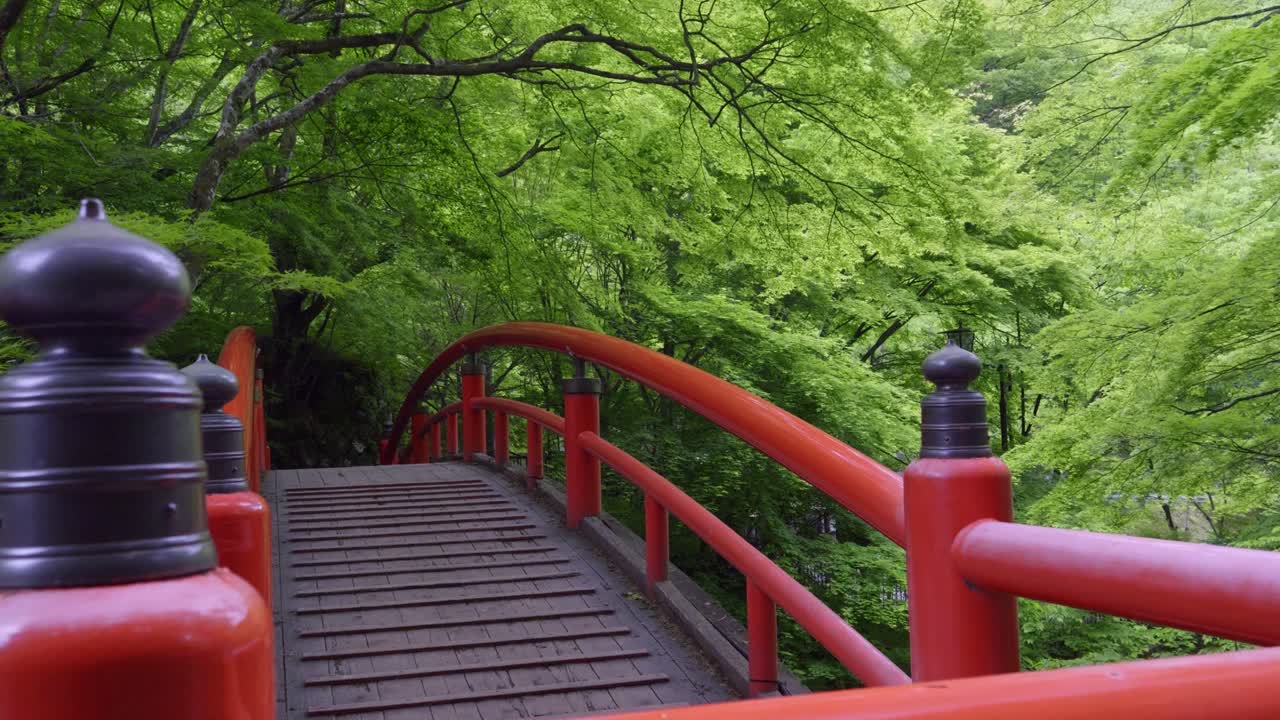 Cinematic dolly push in toward red wood bridge inside lush green Japanese forest
