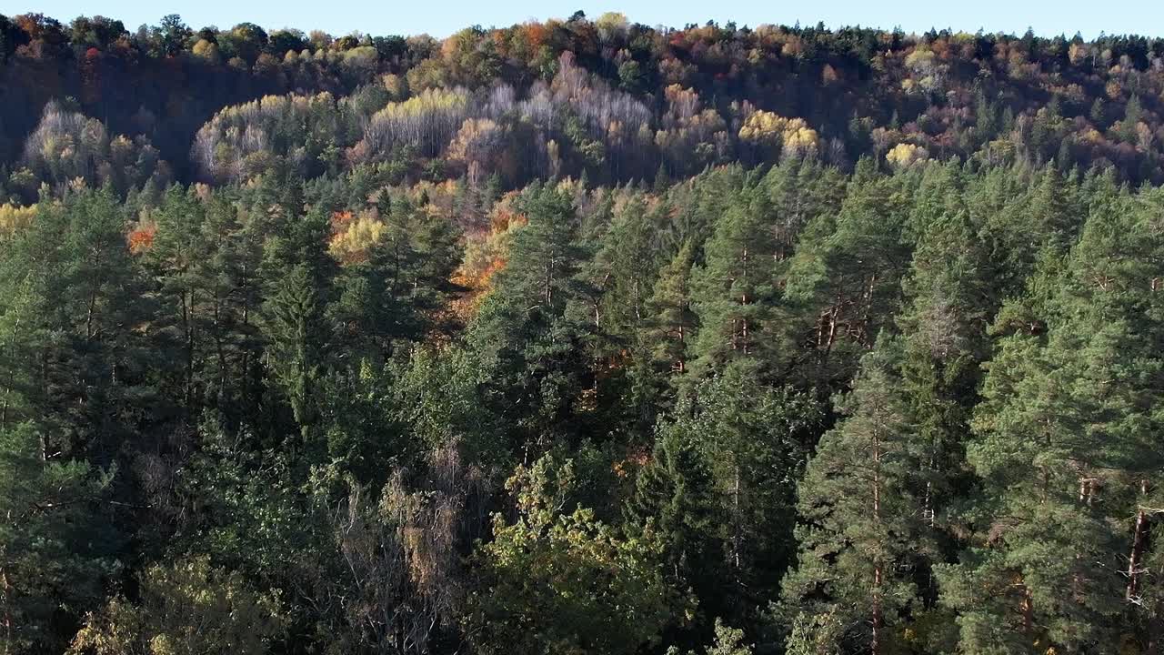 Vista della foresta autunnale a Sigulda, Lettonia, con alberi colorati e natura