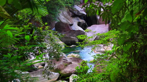 pequeño río o arroyo genérico y hermoso sobre rocas en un bosque en queensland, australia