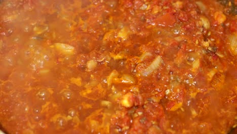 Detail shot of homemade boiling tomato sauce