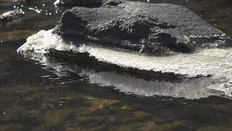 river rock covered dark moss and surrounded by melting ice as water flows downstream