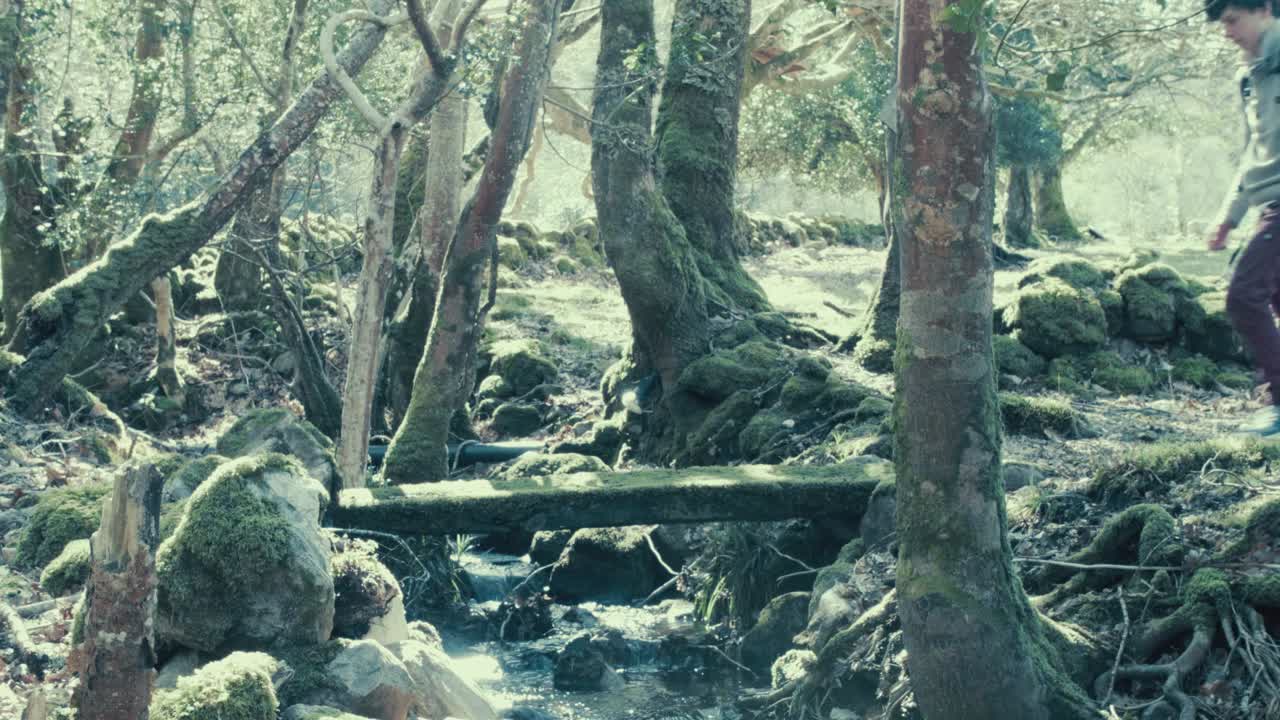 젊은 남자는 숲에서 자연 내 도보 다리를 건너 걷는다