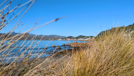 Beautiful-scenic-coastal-view-overlooking-Seatoun-bay-and-ocean-through-sand-dune-grasses-on-a-sunny-day-in-Wellington,-New-Zealand-Aotearoa