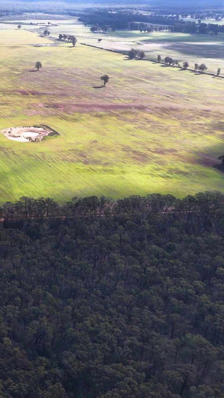 Ripresa aerea con drone di una fitta foresta di eucalipti e campi agricoli verdi nel Nuovo Galles del Sud.