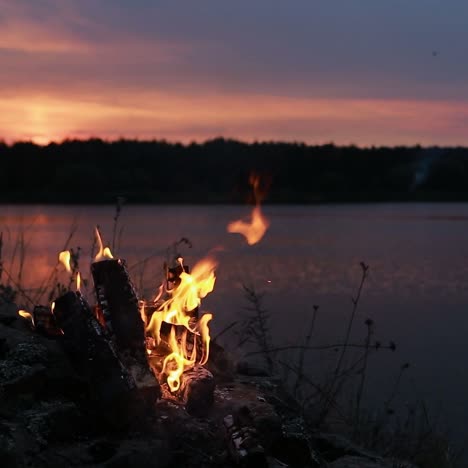 campfire burns brightly at sunset. campfire burns brightly at sunset along the beautiful beach of lake